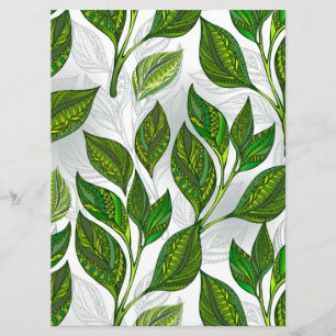Seamless Pattern with Green Tea Leaves Program