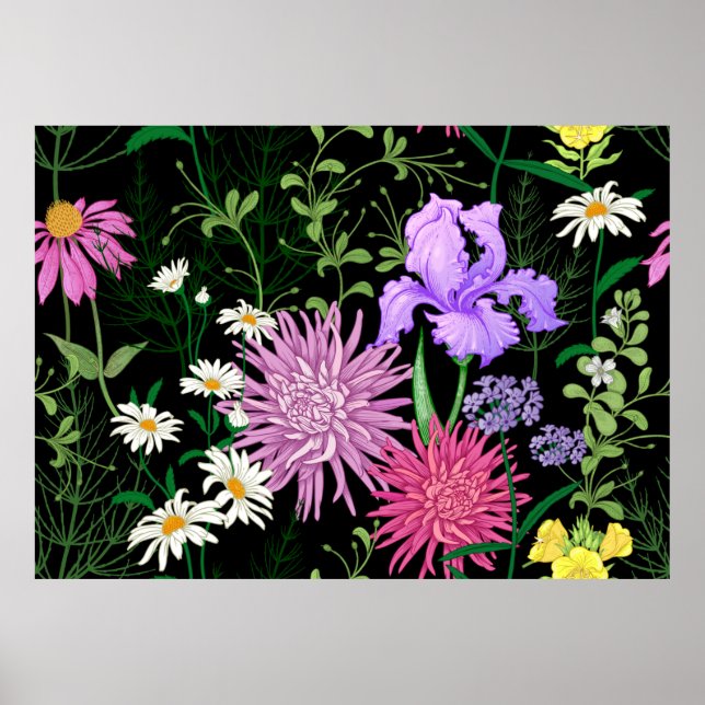 Seamless summer pattern. Wild flowers chamomile, h Poster (Front)