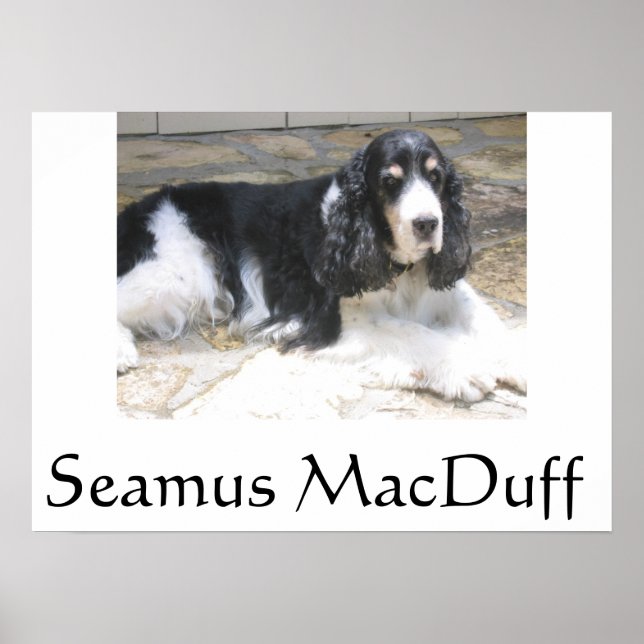 Seamus MacDuff Poster (Front)