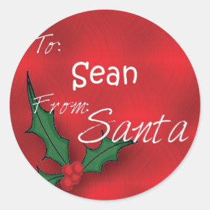 Sean Personalised Holly Label110 Classic Round Sticker