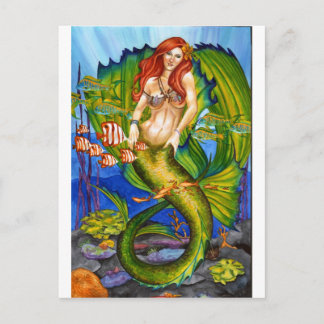SeaNymph Postcard