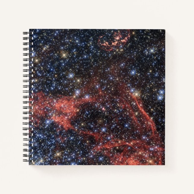 Search For Stellar Survivor Of Supernova Explosion Notebook (Front)