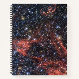 Search For Stellar Survivor Of Supernova Explosion Notebook