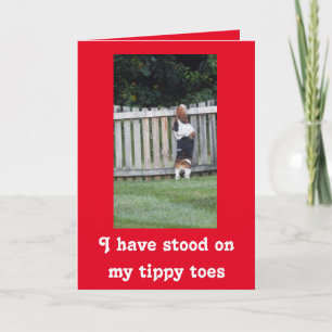 Searching Basset on Cute Valentine's Day Card Holiday Card