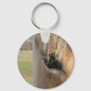 Searching Key Ring