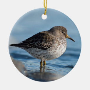 Searching Rock Sandpiper Ceramic Ornament