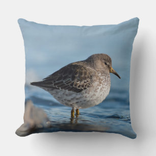 Searching Rock Sandpiper Cushion