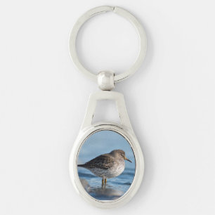 Searching Rock Sandpiper Key Ring