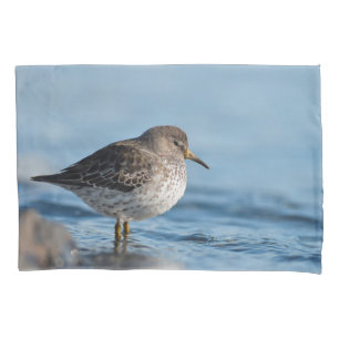 Searching Rock Sandpiper Pillowcase