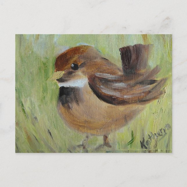 Searching the grass postcard (Front)