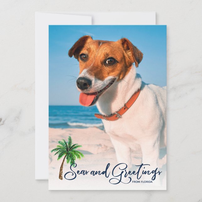 Seas and Greetings Coastal Christmas 3-Photo Card (Front)