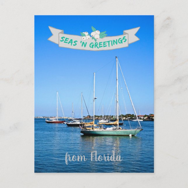 Seas n Greetings from Florida Sailboats on the Bay Postcard (Front)