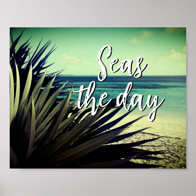 Seas the day hidden paradise palm tree beach photo poster (Front)