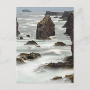 Seascape and sea stacks, Shetland Postcard