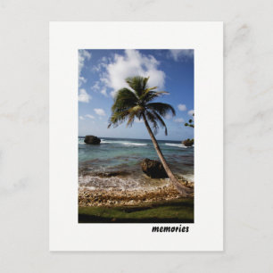 Seascape Memories of Barbados Bathsheba Postcard