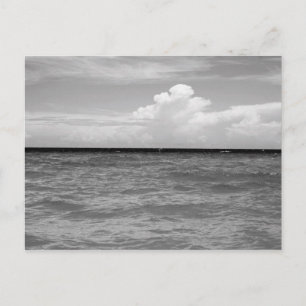 Seascape Postcard