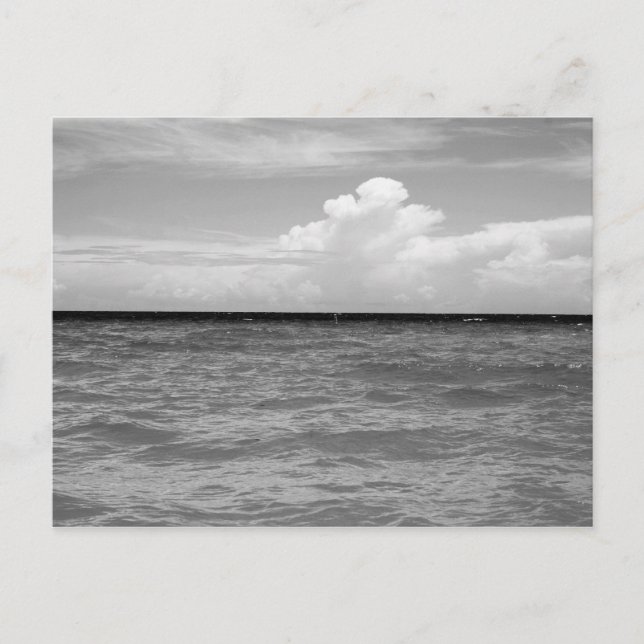 Seascape Postcard (Front)