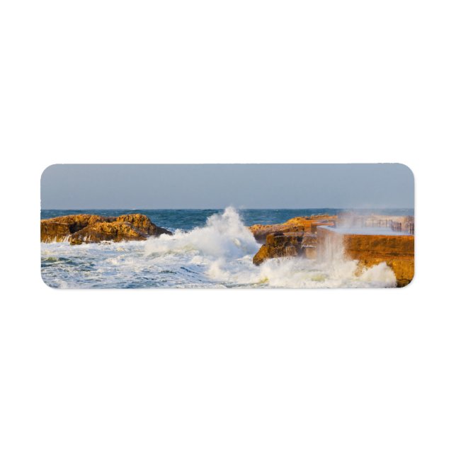 Seascape Return Address Label (Front)