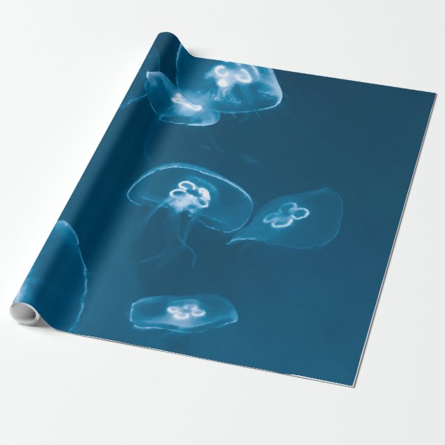Seascape Wrapping Paper (Unrolled)