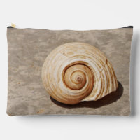 SeaShell