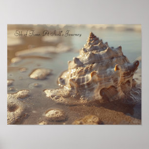 Seashell and Sunlit Foam: Coastal Serenity Poster