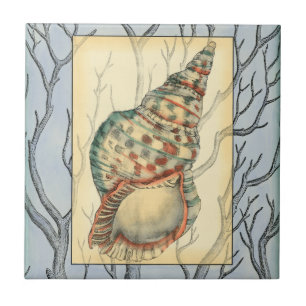 Seashell and Tree Branches Ceramic Tile