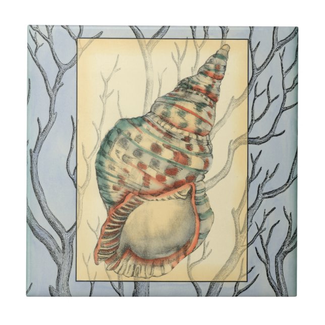 Seashell and Tree Branches Ceramic Tile (Front)