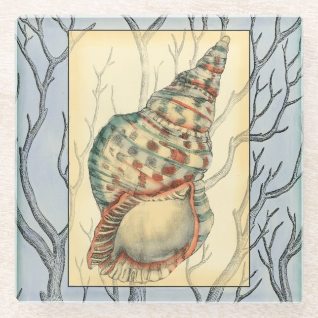 Seashell and Tree Branches Glass Coaster (Front)