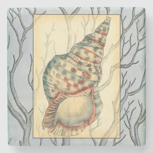 Seashell and Tree Branches Stone Coaster (Front)