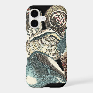 Seashell Anthology