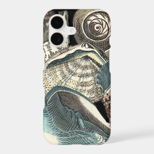 Seashell Anthology