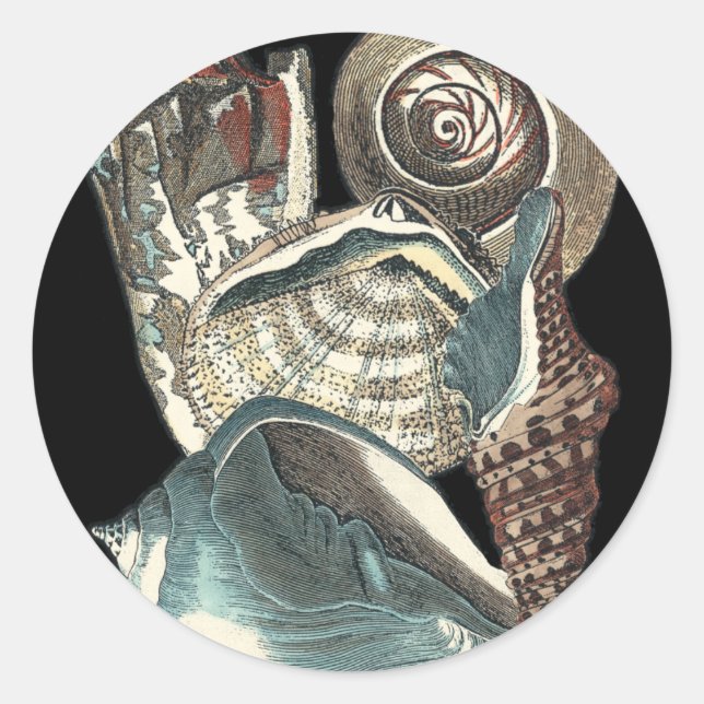 Seashell Anthology Classic Round Sticker (Front)