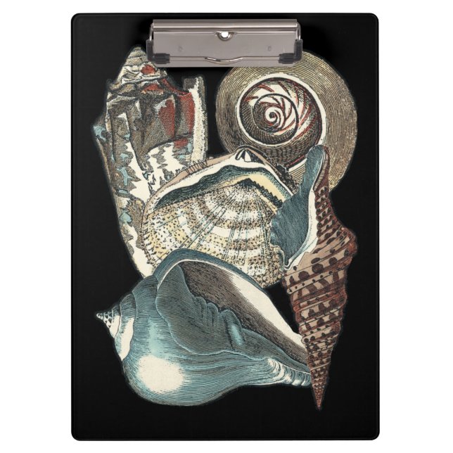 Seashell Anthology Clipboard (Front)