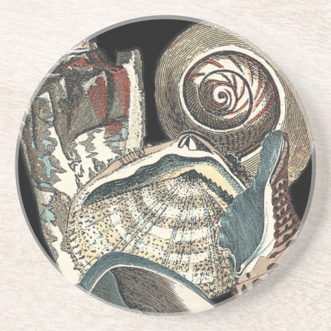 Seashell Anthology Coaster (Front)