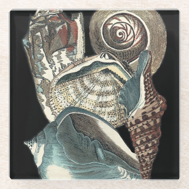 Seashell Anthology Glass Coaster (Front)