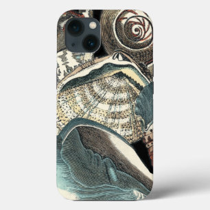 Seashell Anthology iPhone 13 Case