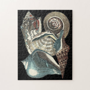 Seashell Anthology Jigsaw Puzzle
