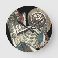 Seashell Anthology
