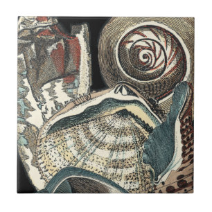 Seashell Anthology Tile