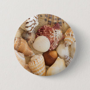 Seashell Arrangement 6 Cm Round Badge