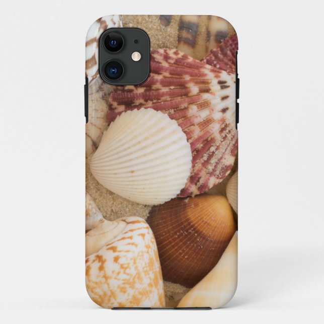 Seashell Arrangement Case-Mate iPhone Case (Back)