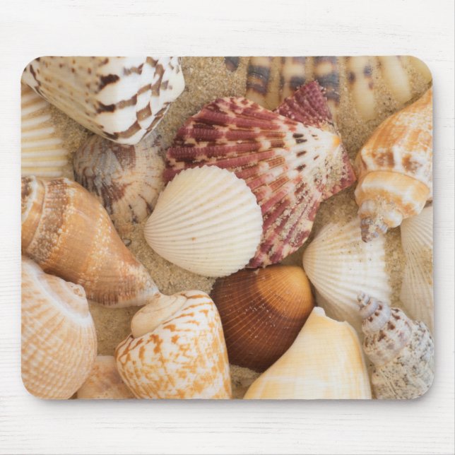 Seashell Arrangement Mouse Pad (Front)