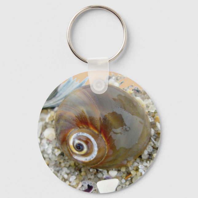 Seashell at Low Tide Coordinating Items Key Ring (Front)