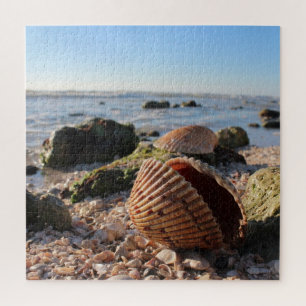 Seashell at the beach jigsaw puzzle