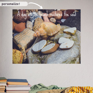 Seashell at the Seashore Poster