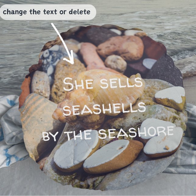 Seashell at the Seashore Round Cushion (Creator Uploaded)