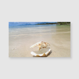 Seashell Beach Magnet Business Card
