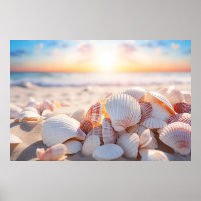 Seashell Beach Nature Serene Tranquil Poster (Front)