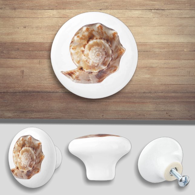Seashell Beach Ocean Shell Ceramic Knob (Creator Uploaded)