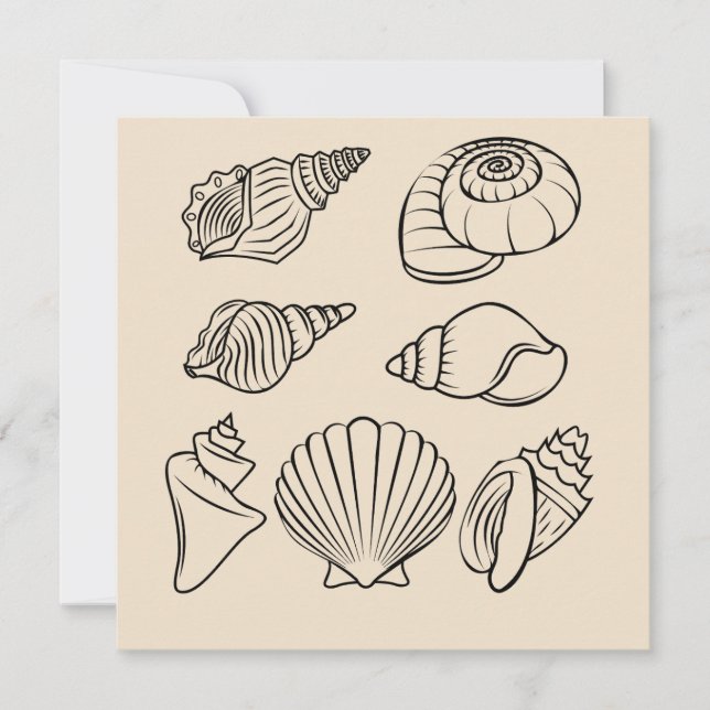 Seashell, Beach Stationery Flat Note Card (Front)